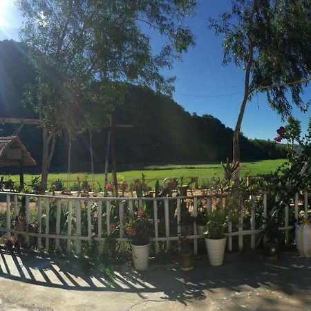 Phong Nha Rice Field Homestay מראה חיצוני תמונה