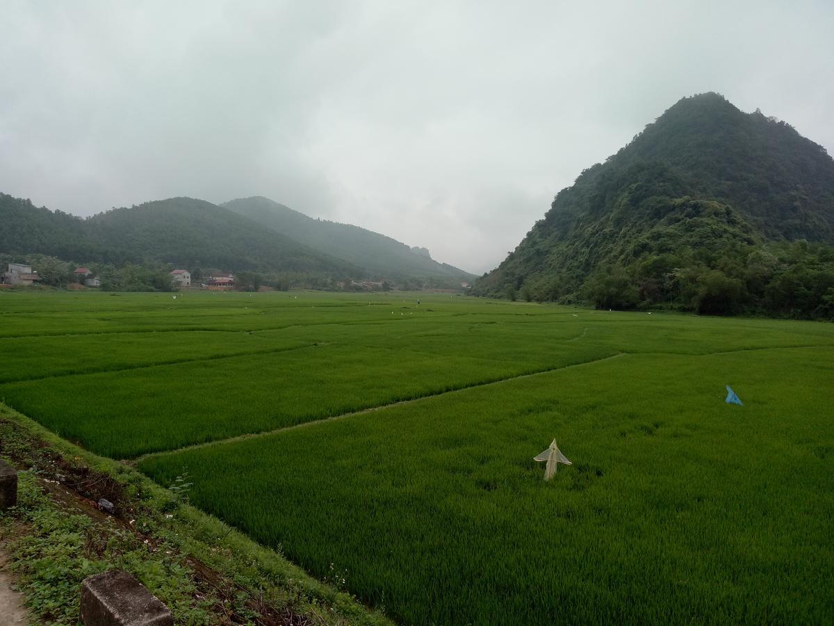 Phong Nha Rice Field Homestay מראה חיצוני תמונה