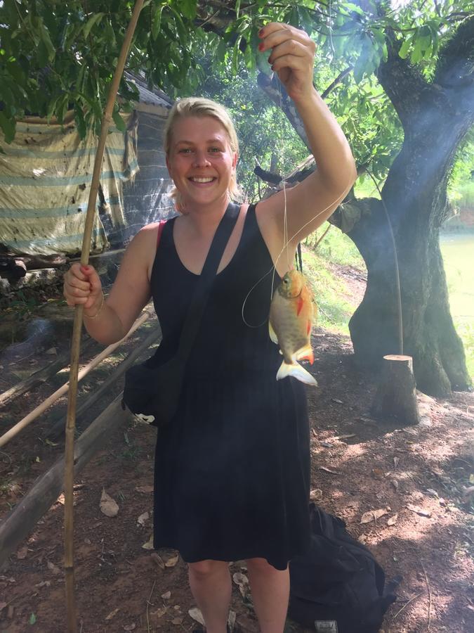Phong Nha Rice Field Homestay מראה חיצוני תמונה