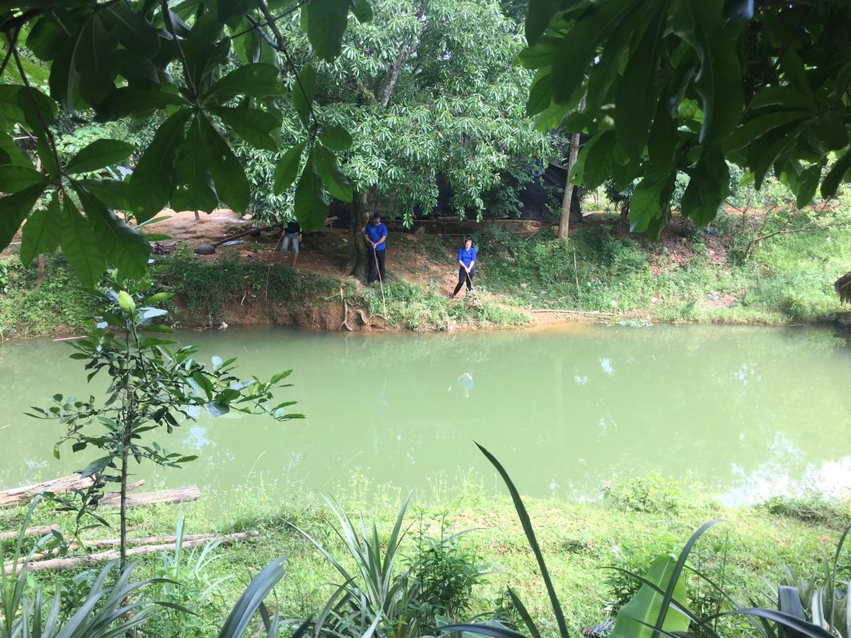 Phong Nha Rice Field Homestay מראה חיצוני תמונה