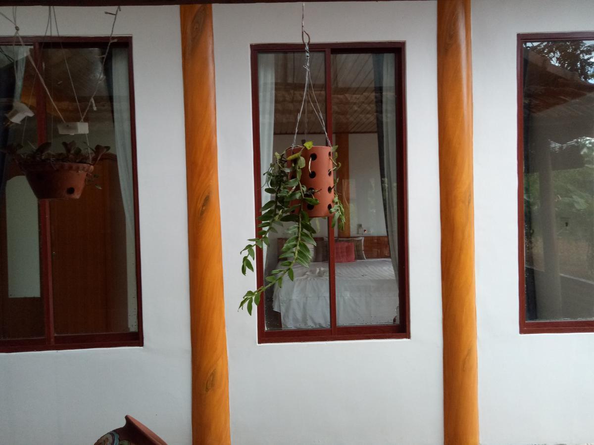 Phong Nha Rice Field Homestay מראה חיצוני תמונה