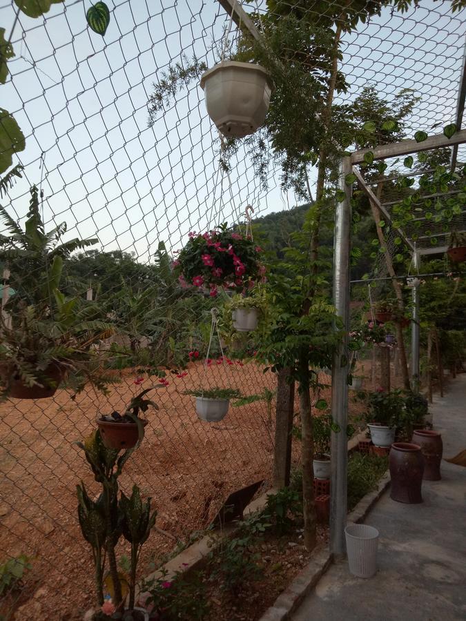 Phong Nha Rice Field Homestay מראה חיצוני תמונה