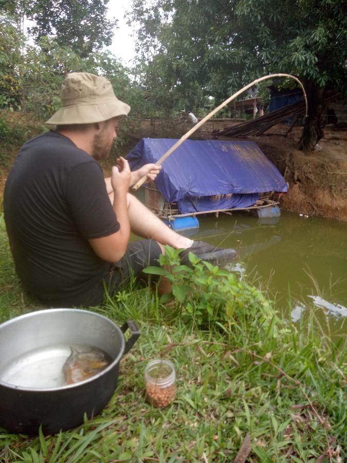 Phong Nha Rice Field Homestay מראה חיצוני תמונה