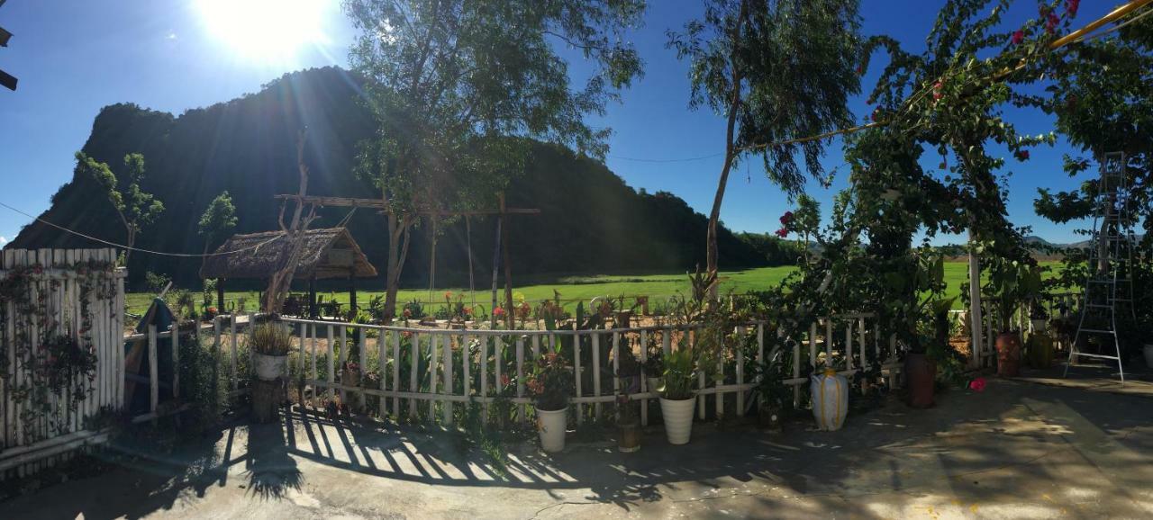 Phong Nha Rice Field Homestay מראה חיצוני תמונה